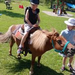 phoca_thumb_m_ponk 74 Fotogalerie